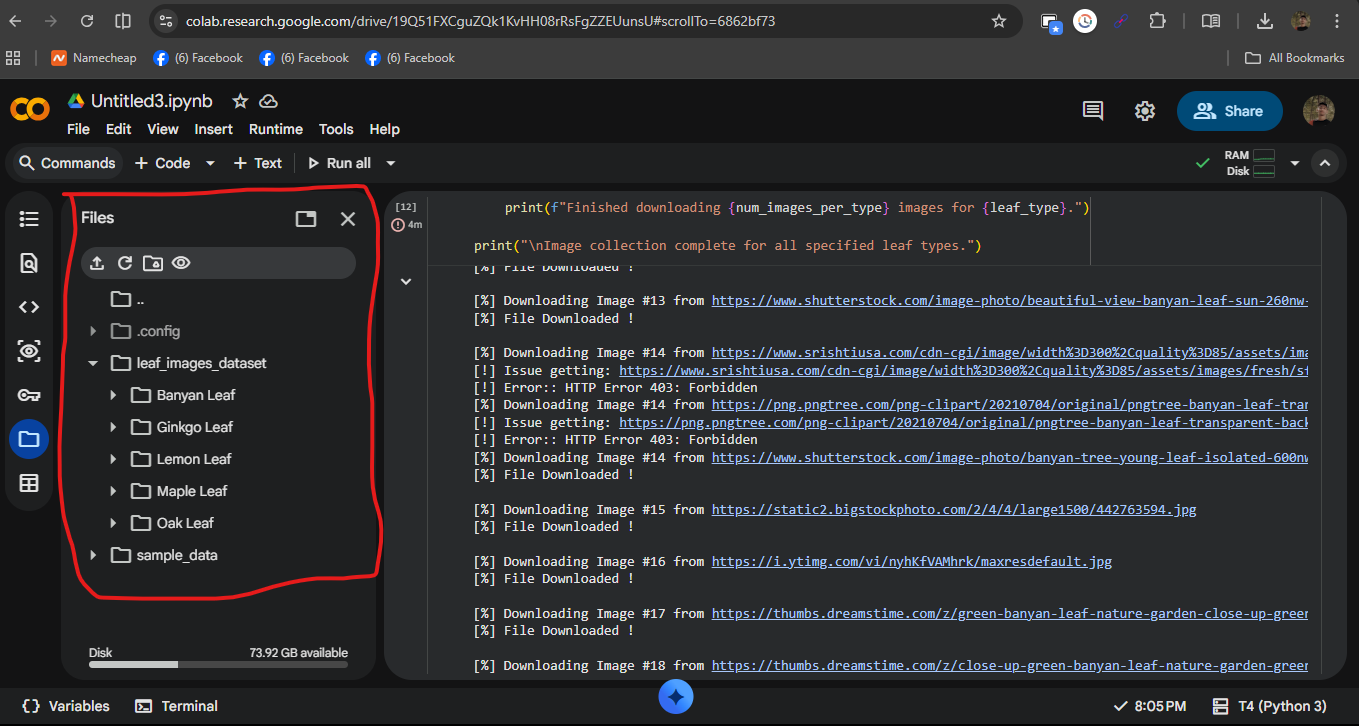 Leaf image dataset downloaded and visible in Google Colab file structure