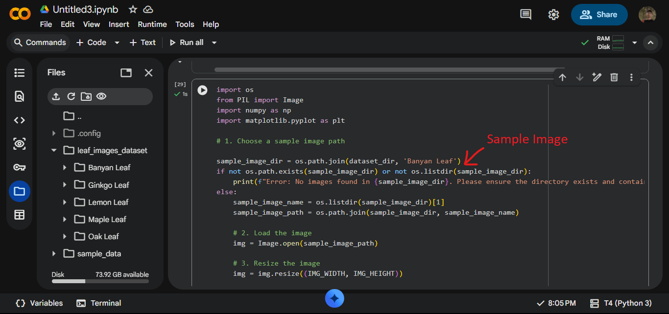 Adding a sample leaf image for prediction in Google Colab