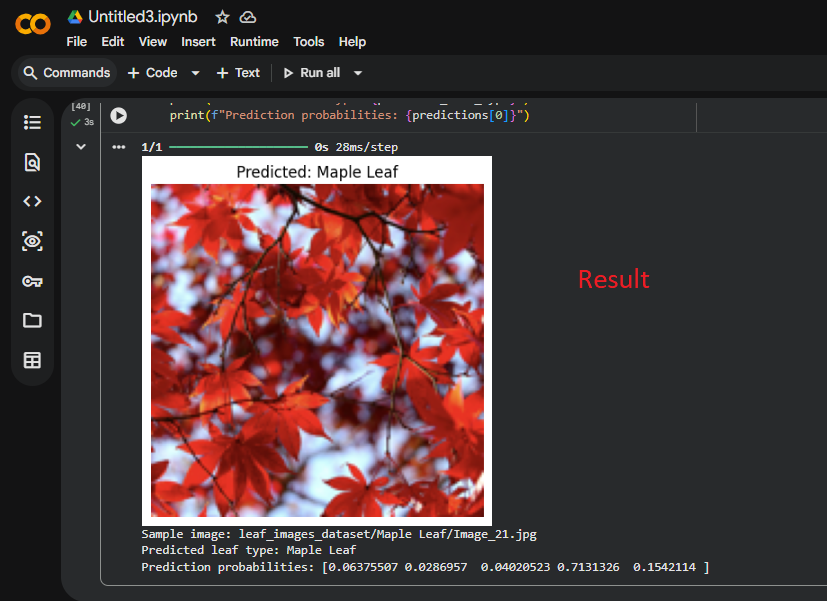 Leaf detection AI prediction result shown in Google Colab output